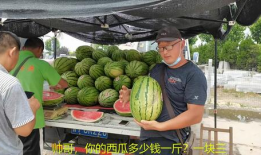 14分钟吃瓜爆料,揭秘娱乐圈惊人内幕