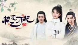 电视剧小说,宫廷权谋与爱恨情仇