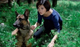 神犬奇兵电视剧,忠诚守护，战火炼心